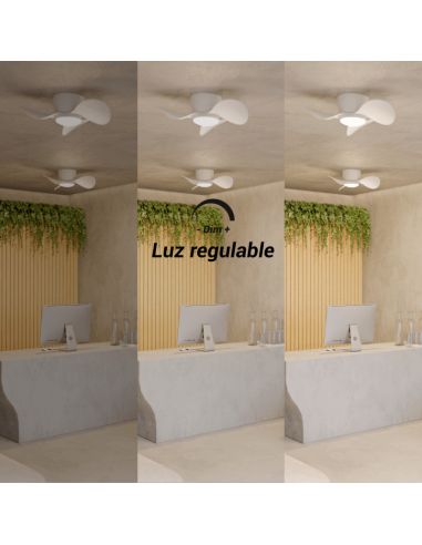 Ventilador de Techo pequeño con LED Monty DC luz regulable