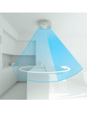 Ventilador de Techo LED con pantalla de madera Daya DC flujo de aire