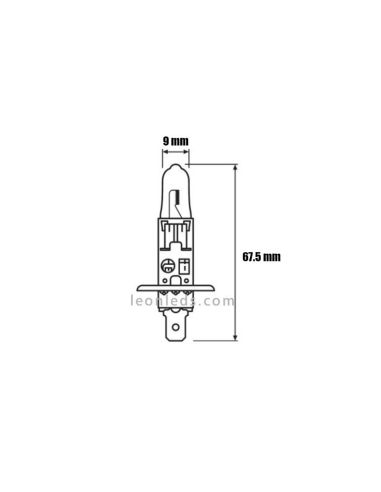 Bombilla H1 Night Breaker Silver 12V +100% Osram - 1 Unidad 64150NBS Osram | LeonLeds