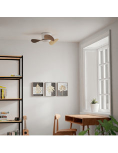 Petit ventilateur de plafond avec LED Monty wood DC 2