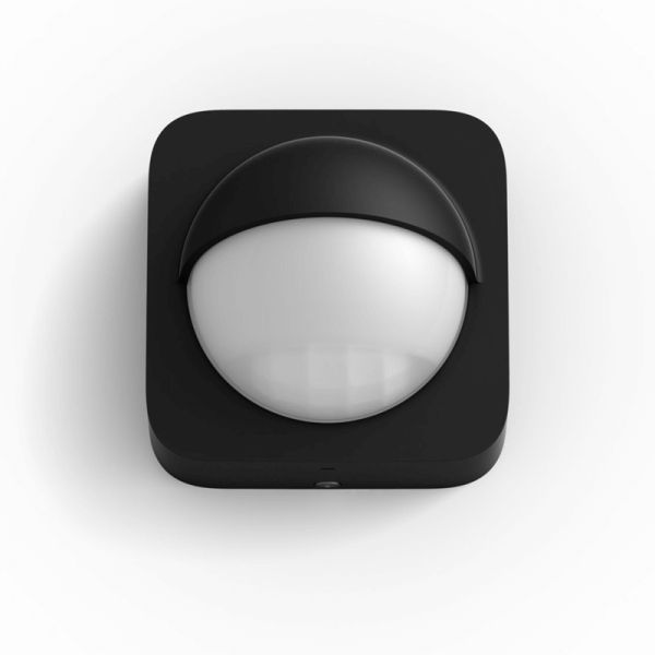 Capteur extérieur Philips Hue