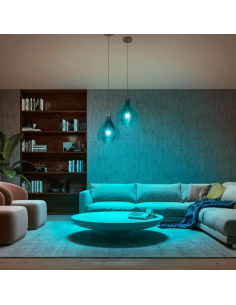 Kit de inicio 2 bombillas inteligentes E27 (1100lm) + regulador de intensidad y color Philips Hue kit completo 2