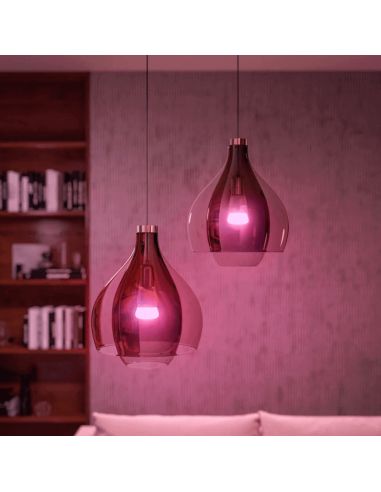 Kit de inicio 2 bombillas inteligentes E27 (1100lm) + regulador de intensidad y color Philips Hue ejemplo de presentación