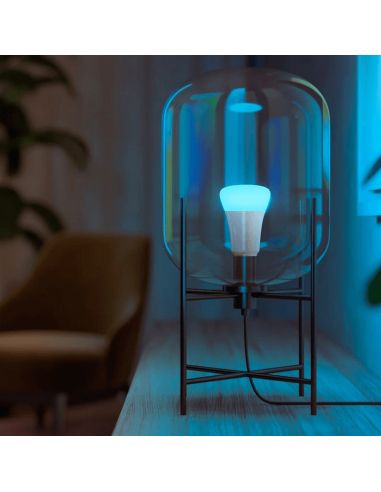 Bombilla inteligente Philips Hue White and Color Ambiance LED 6.5W 2000K-6500K RGB A60 E27 830lm Pack 2 tono luz azul