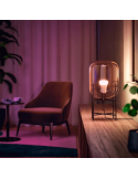 Bombilla inteligente Philips Hue White and Color Ambiance LED 6.5W 2000K-6500K RGB A60 E27 830lm Pack 2 tono luz cálida