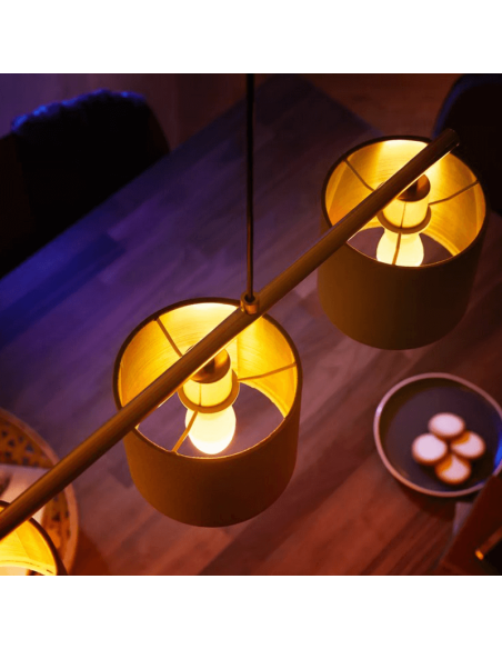 Ampoule intelligente Philips Hue White Ambiance LED 4W 2200K-6500K Bougie 470lm E14 lumière ambiante photo chaude