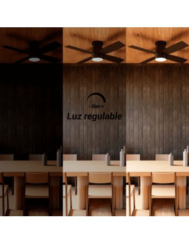 Ventilador de Techo LED Taro negro DC Luz regulable luz regulable