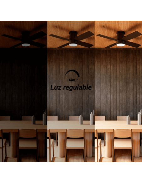 Ventilador de Techo LED Taro negro DC Luz regulable luz regulable