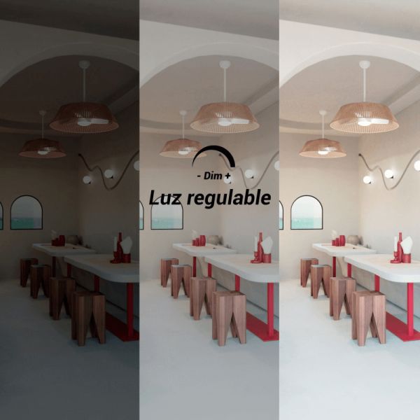 Ventilateur de plafond Gema LED avec écran en jute à lumière réglable