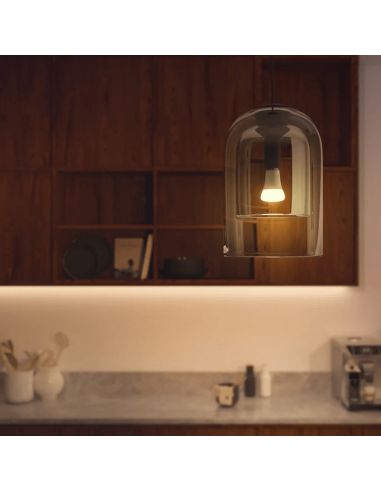 Lâmpada inteligente Philips Hue White Ambiance A67 13W 2200-6500K E27 1600lm luz quente