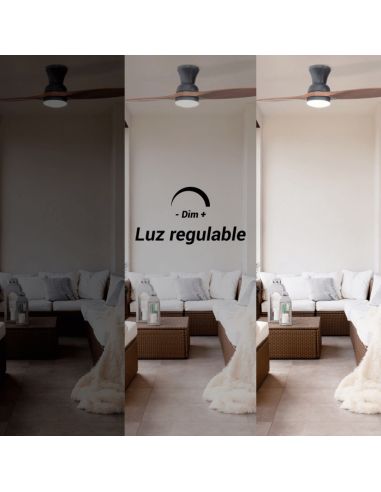 Ventilador de Techo LED estilo Industrial Duplo marrón DC luz regulable