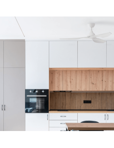 Ventilateur de plafond DC Ivy blanc intérieur/extérieur 2