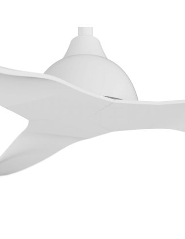 Détail DC intérieur/extérieur du ventilateur de plafond White Ivy