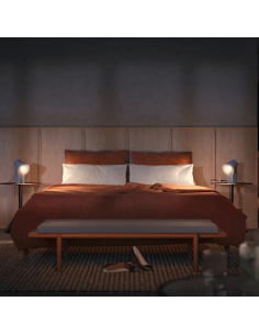 Bombilla inteligente Philips Hue White Ambiance LED 6W 2200K-6500K A60 E27 800lm Pack 2 encendidas 2