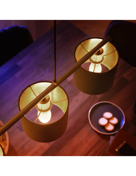 Bombilla inteligente Philips Hue LED 5.5W 2700K Vela 470lm E14 luz cálida