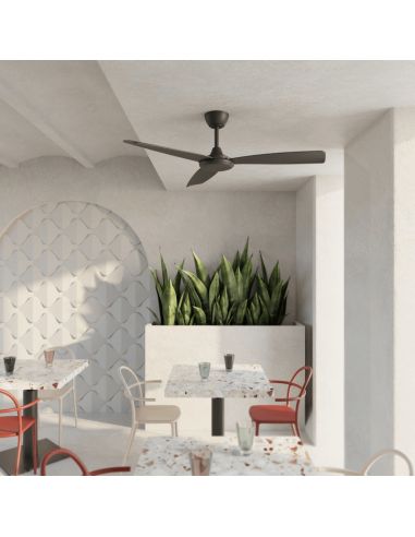 Ventilateur de plafond Lia noir IP20 DC environnement intérieur