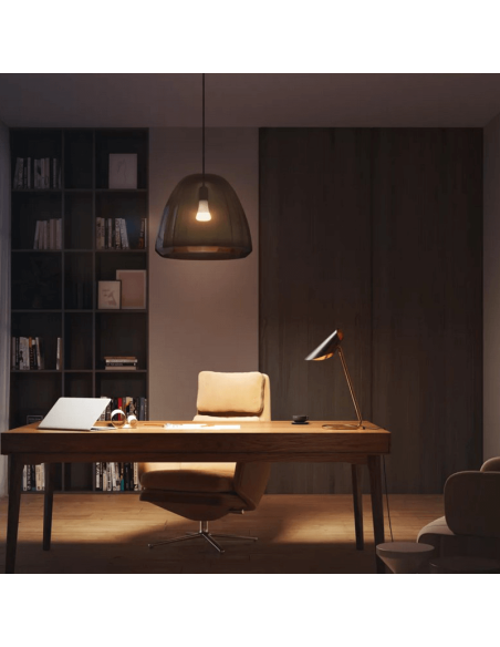 Présentation de la lampe Philips HueWhite 15,5W 2700K 1600lm A67 E27