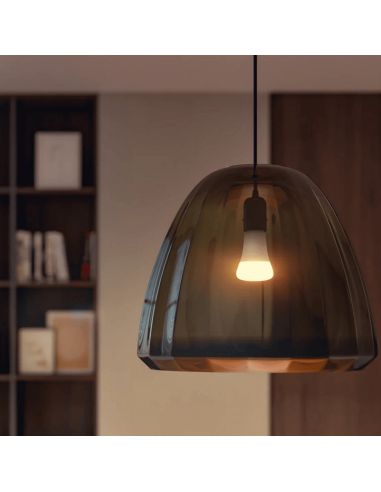 Bombilla inteligente Philips HueWhite 15.5W 2700K 1600lm A67 E27 vista de cerca