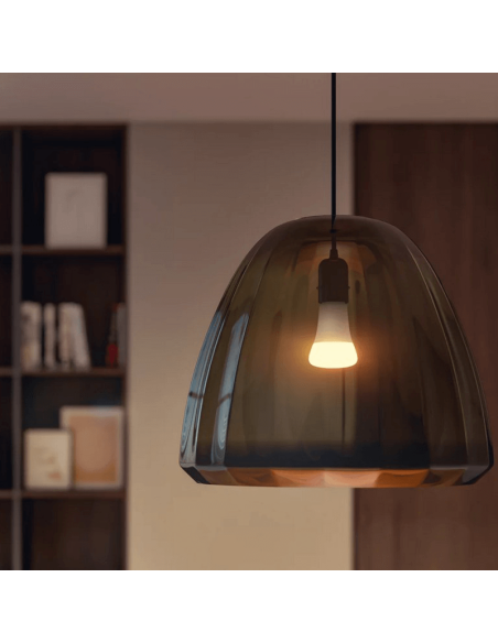 Philips HueWhite 15.5W 2700K 1600lm A67 E27 Vue rapprochée Ampoule intelligente