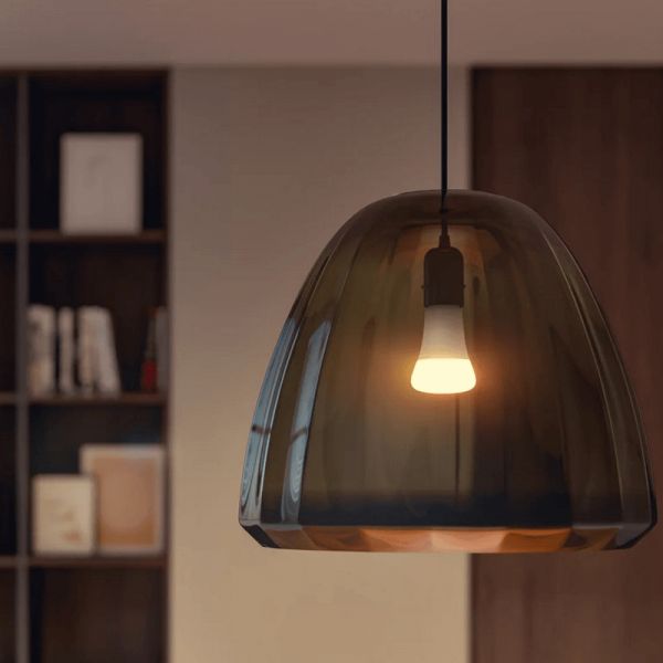 Philips HueWhite 15,5W 2700K 1600lm A67 E27 Close View Smart Bulb