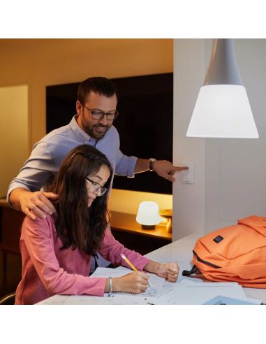 Kit de démarrage ampoule intelligente Philips HueWhite 9,5W 2700K 1055lm E27 Hue Bridge inclus exemple de présentation