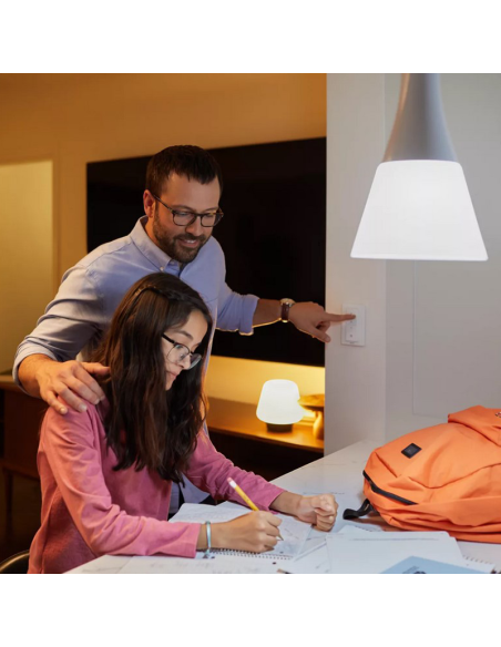 Kit de démarrage ampoule intelligente Philips HueWhite 9,5W 2700K 1055lm E27 Hue Bridge inclus exemple de présentation