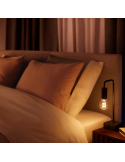 Bombilla inteligente Philips Hue White Ambiance 7W 2200-4500K Fil 550lm A60 E27 en una lámpara de mesa