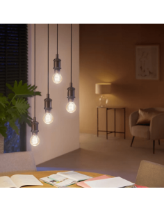 Bombilla inteligente Philips Hue White Ambiance 7W 2200-4500K Fil 550lm A60 E27 encendida 2