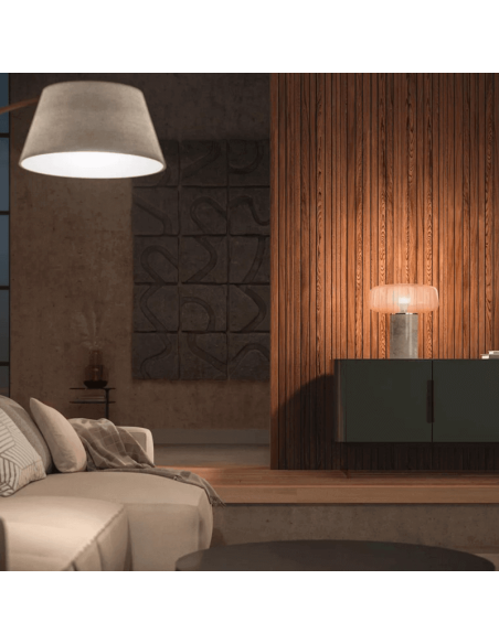 Philips HueWhite Ampoule Intelligente 9,5W 2700K Blanc Chaud Dimmable 1055lm A60 E27 Pack 2 en Un Suspension