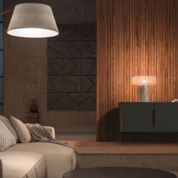 Philips HueWhite Ampoule Intelligente 9,5W 2700K Blanc Chaud Dimmable 1055lm A60 E27 Pack 2 en Un Suspension