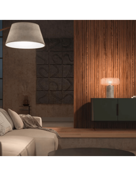 Philips HueWhite Ampoule Connectée 9,5W 2700K Lumière Blanc Chaud Dimmable 1055lm A60 E27 dans une Suspension