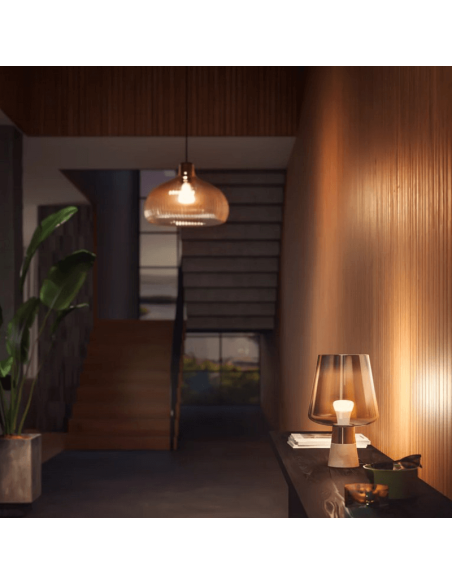 Philips HueWhite Ampoule Intelligente 9W A60 E27 806lm 2700K Lumière Blanc Chaud Dimmable Pack 2 dans une Suspension