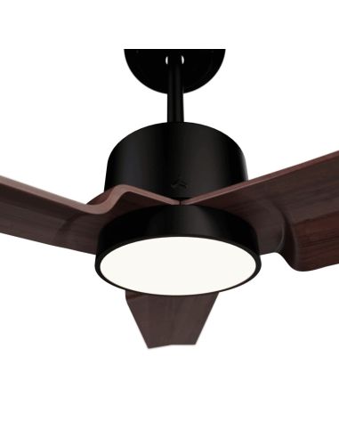 Ventilateur de plafond LED noir Anne avec pales en bois foncé DC pour les grands espaces avec des détails lumineux