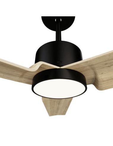 Ventilador de teto LED preto Anne com lâminas de madeira clara DC para detalhes de luz em grandes espaços