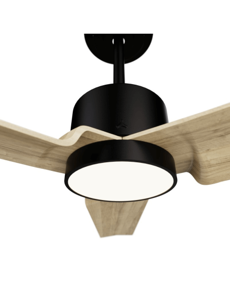 Ventilador de teto LED preto Anne com lâminas de madeira clara DC para detalhes de luz em grandes espaços