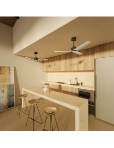 Ventilateur de plafond Anne LED, noir avec pales blanches, CC, pour grands espaces 2
