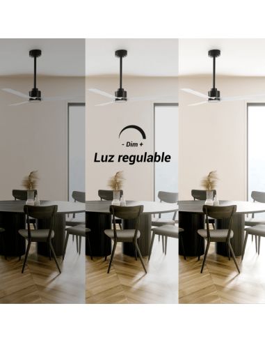 Ventilateur de plafond Anne LED, noir avec pales blanches, CC, pour grands espaces, éclairage à intensité variable