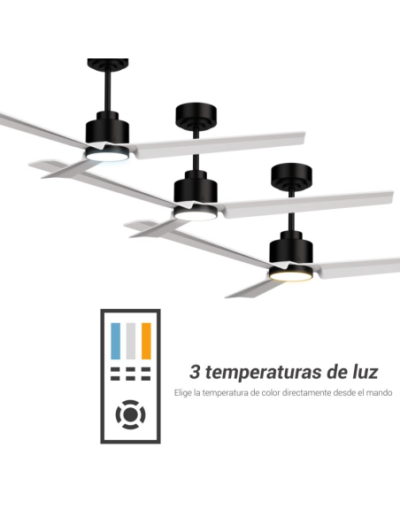 Ventilateur de plafond Anne LED, noir avec pales blanches, CC pour grands espaces, température de couleur réglable