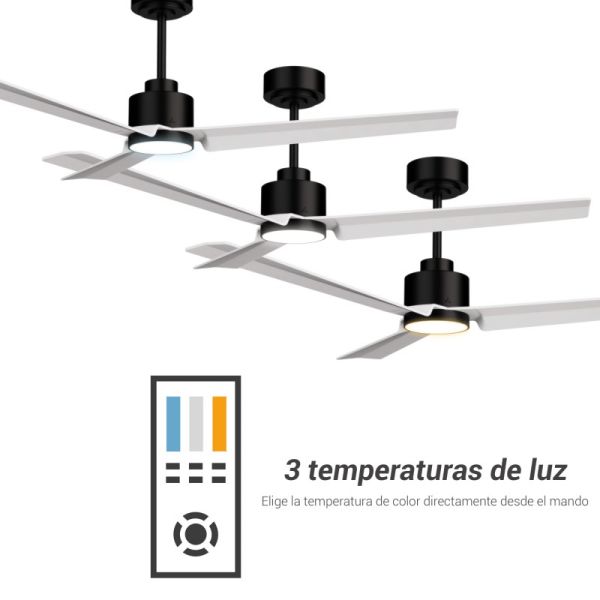 Ventilateur de plafond Anne LED, noir avec pales blanches, CC pour grands espaces, température de couleur réglable