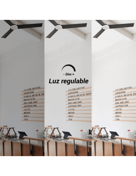 Ventilateur de plafond LED Anne blanc avec pales DC noires pour grands espaces avec lumière réglable