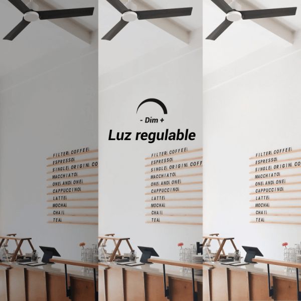 Ventilateur de plafond LED Anne blanc avec pales DC noires pour grands espaces avec lumière réglable