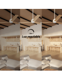 Ventilateur de plafond blanc Anne LED avec pales en bois léger DC pour grands espaces avec lumière réglable