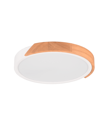 Plafón de techo LED integrado Jano 20W apagado| LeonLeds