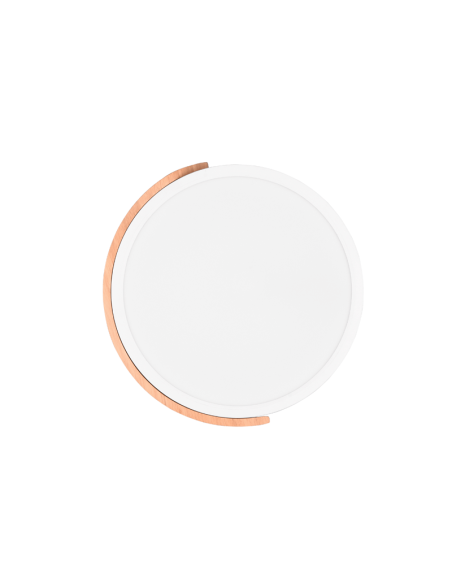 Plafón de techo LED integrado Jano 20W vista frontal| LeonLeds