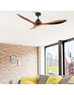 Ventilateur de Plafond Modulo Low Profile Noir avec Lumière Dimmable