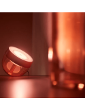 Lámpara de sobremesa LED inteligente Iris bronce luz cálida encendida | LeonLeds