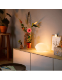 Lámpara sobremesa inteligente LED Flourish foto ambiente| LeonLeds