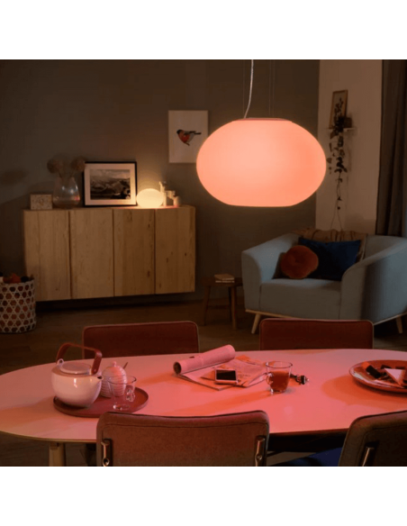 S'épanouir plafonnier intelligent lumière chaude | leonleds