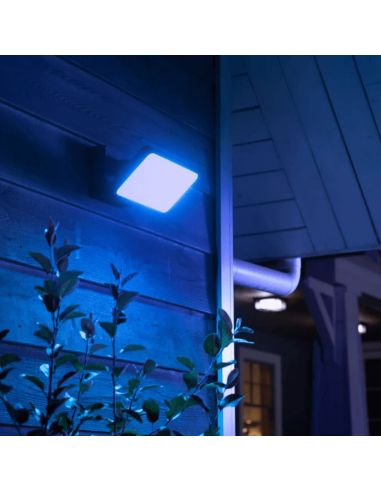 Spot réflecteur LED noir Découvrir l'extérieur 30W lumière froide