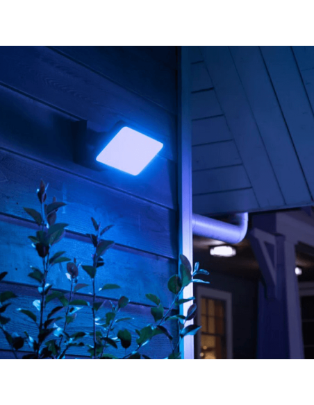 Foco reflector LED Negro Discover uso exterior 30W 8718696170533 Philips Hue| LeonLeds